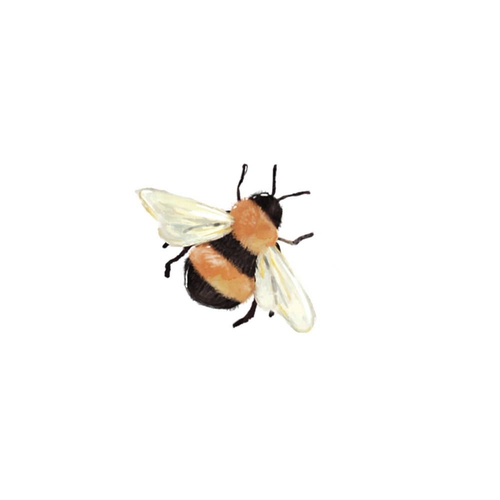 Bee