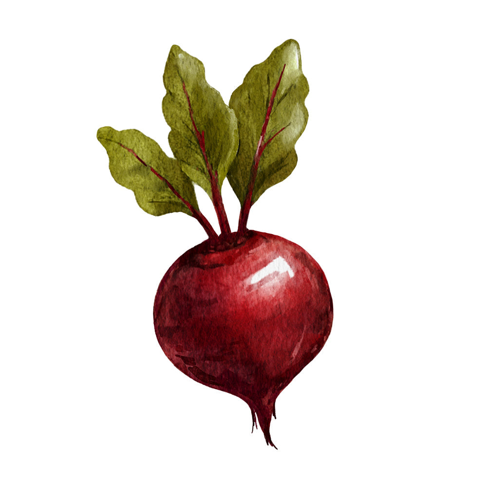 Beet