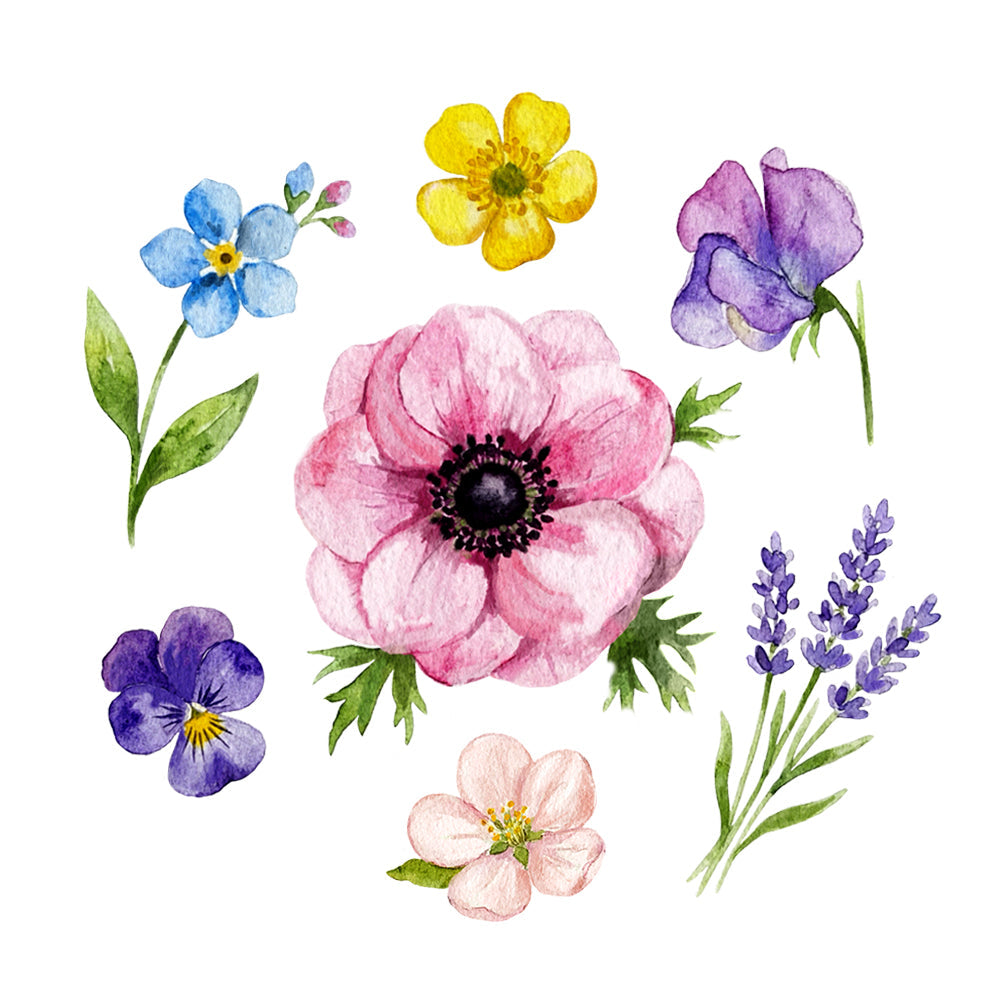 Blooming Garden