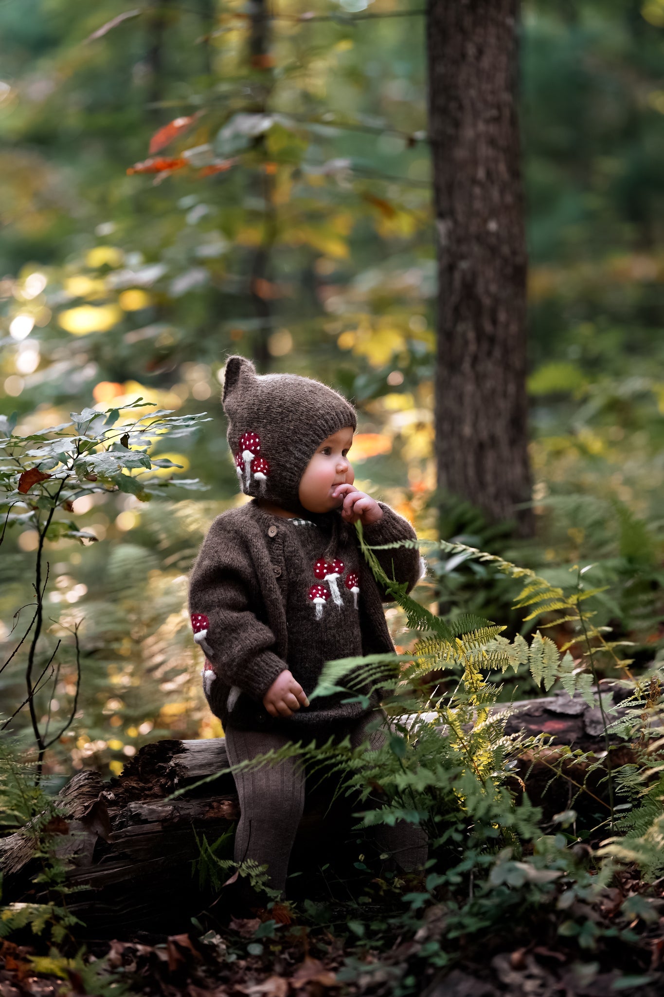 Mushrooms bonnet | Brown