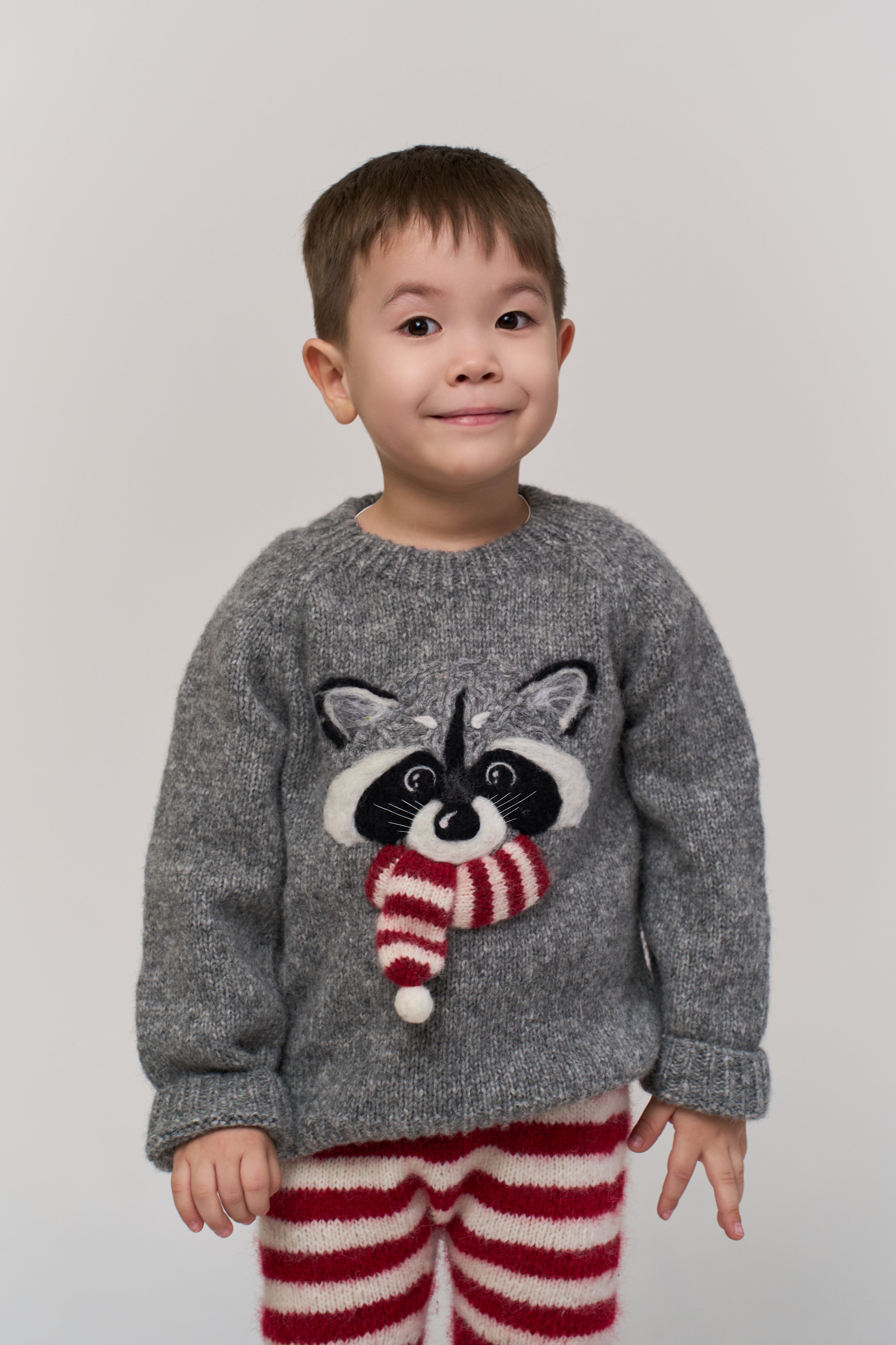 Festive Raccoon jumper | Dark grey
