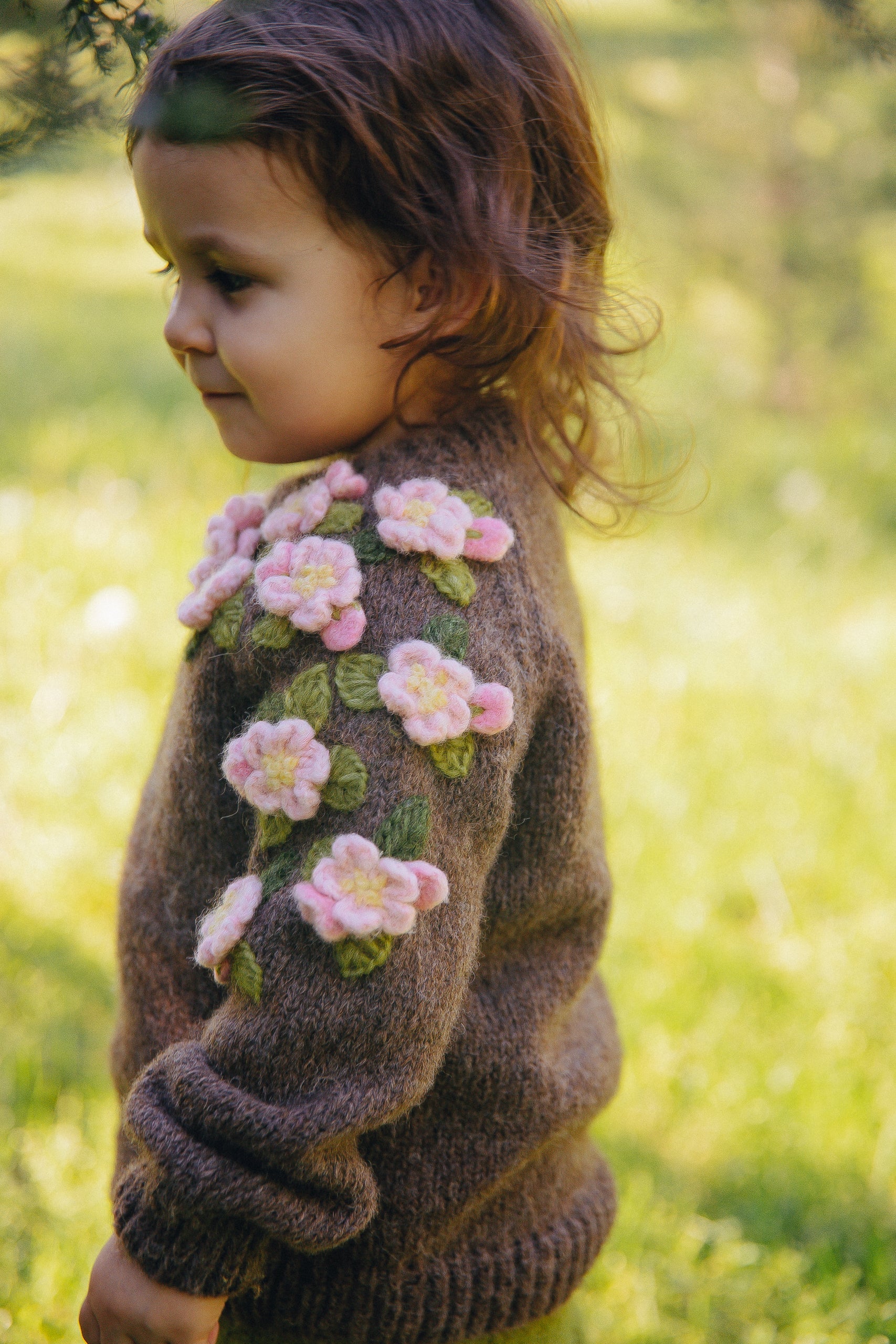 Apple Blossom Jumper | Brown